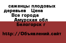 саженцы плодовых деревьев › Цена ­ 6 080 - Все города  »    . Амурская обл.,Белогорск г.